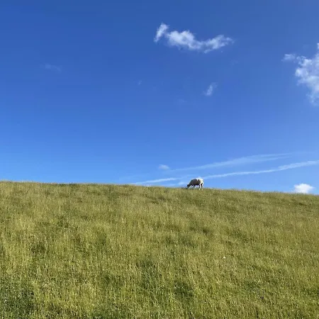 アパート Seequartier 4 *